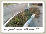 nr.jernloese chikaner 2012-04-13 _01